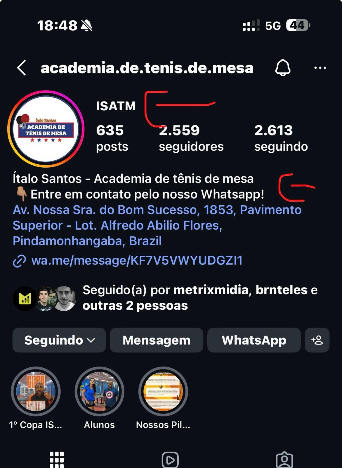 Perfil Instagram antes